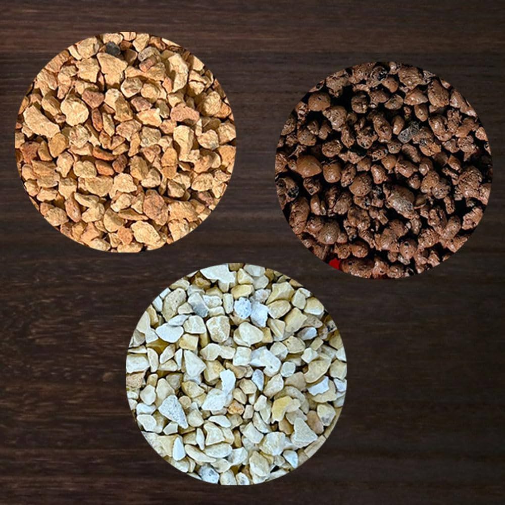 Amazon.co.jp: 観葉植物 植え替え ハイドロカルチャー 4号用 室内用